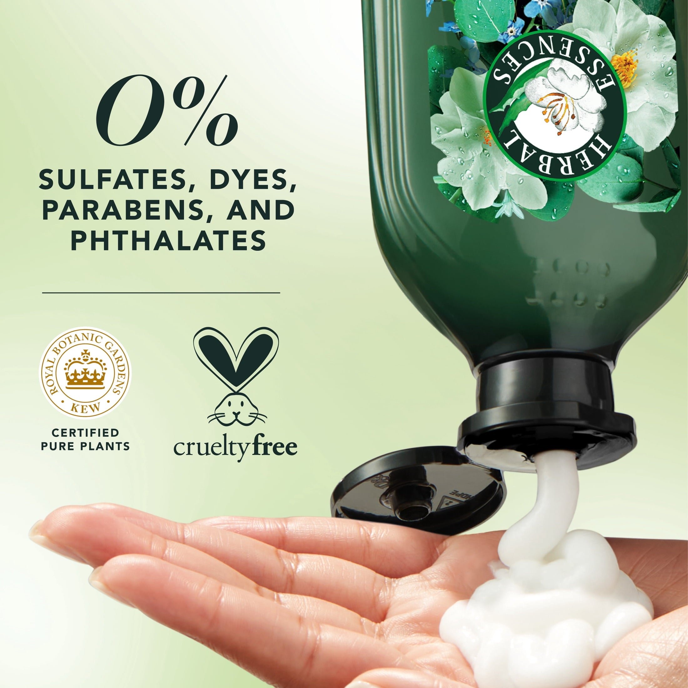 Scalp + Purify Eucalyptus Sulfate Free Conditioner - 13.5 fl oz