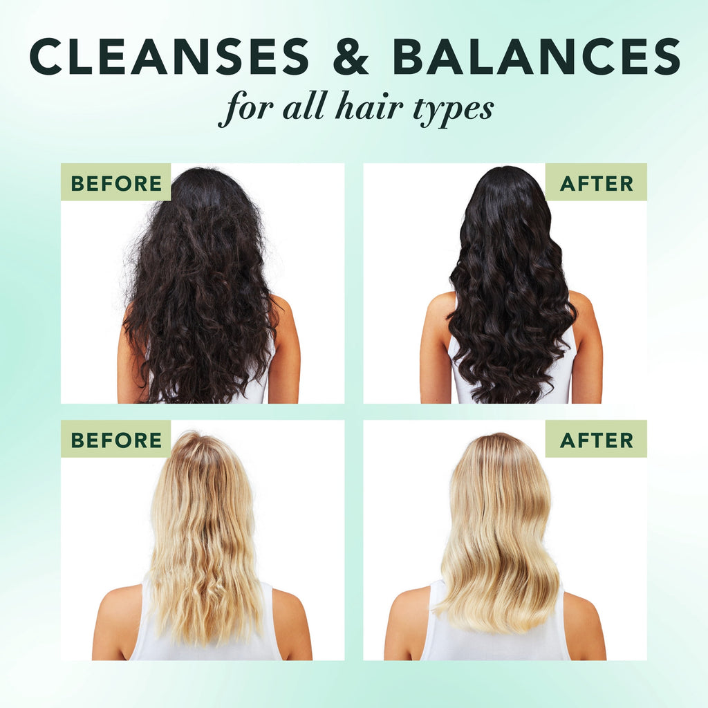 Scalp + Purify Eucalyptus Sulfate Free Conditioner - 13.5 fl oz