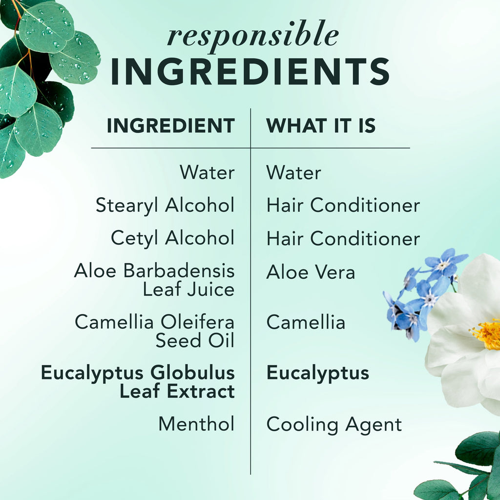 Scalp + Purify Eucalyptus Sulfate Free Conditioner - 13.5 fl oz