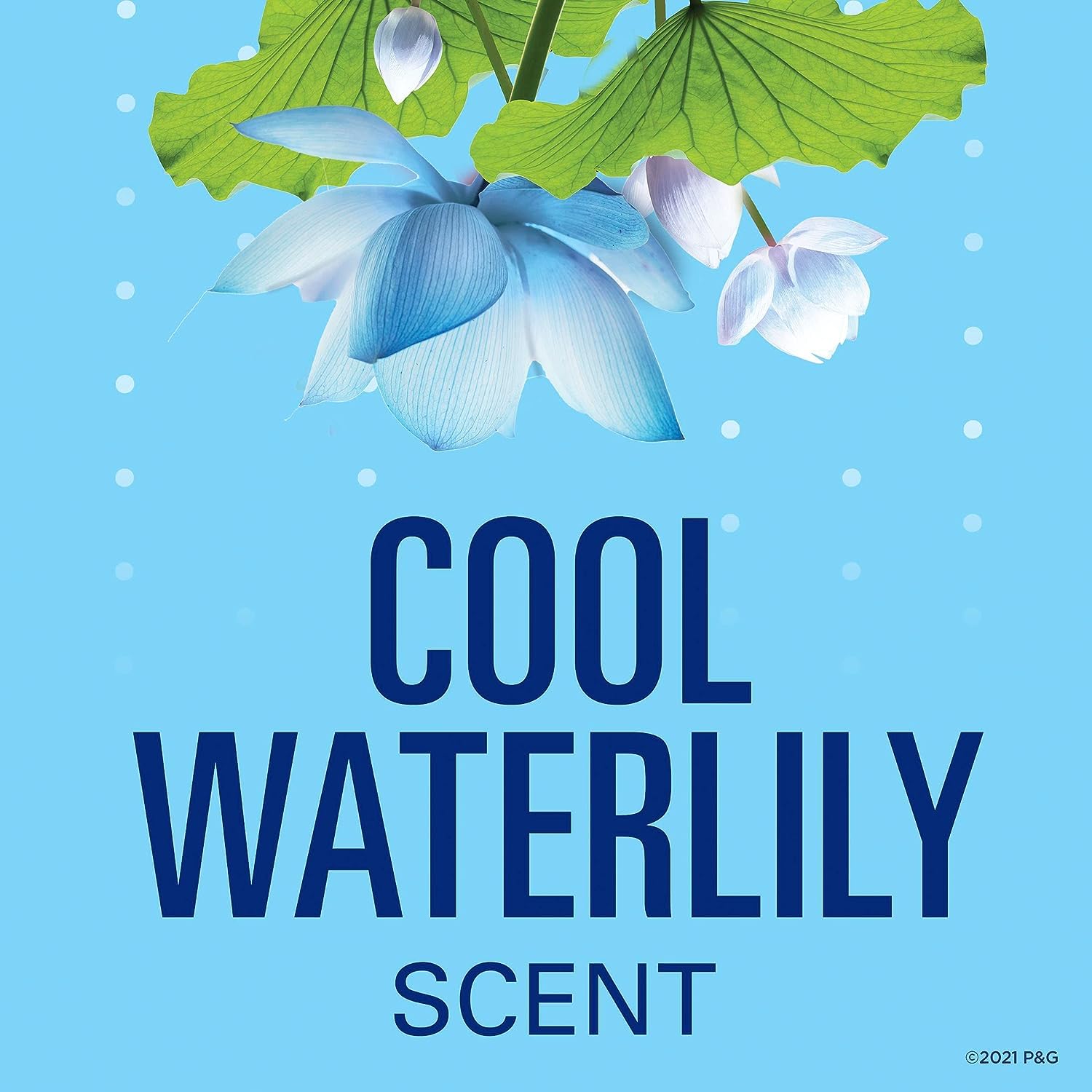 Fresh Clear Gel Antiperspirant and Deodorant for Women, Waterlily Scent, 2.6oz (Pack of 3)