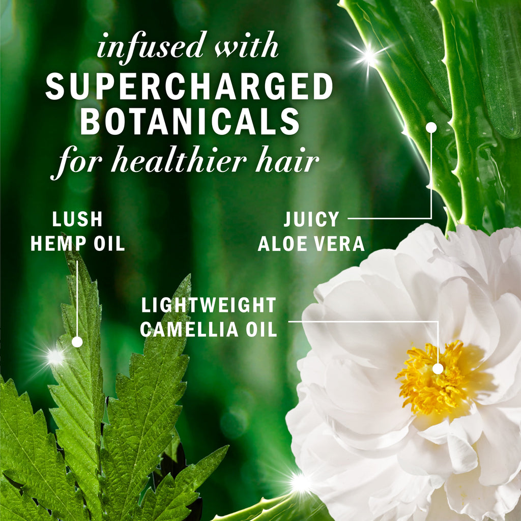 Hemp Oil Shampoo and Conditioner Frizz (2) 13.5 fl oz