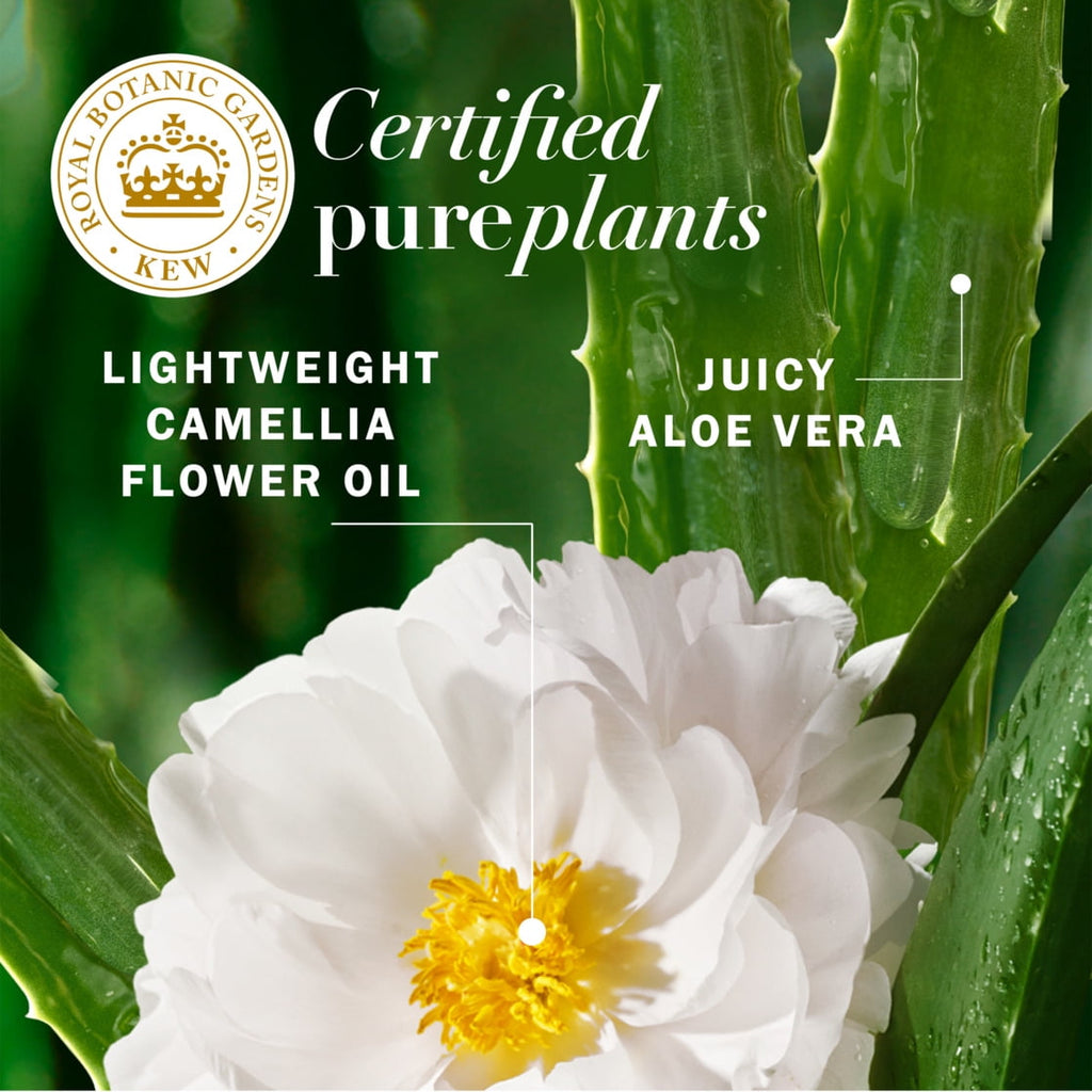 Lightweight Hair Oil, Certified Pure Plants, with Aloe and Camellia Flower Oil, 3.2 fl oz