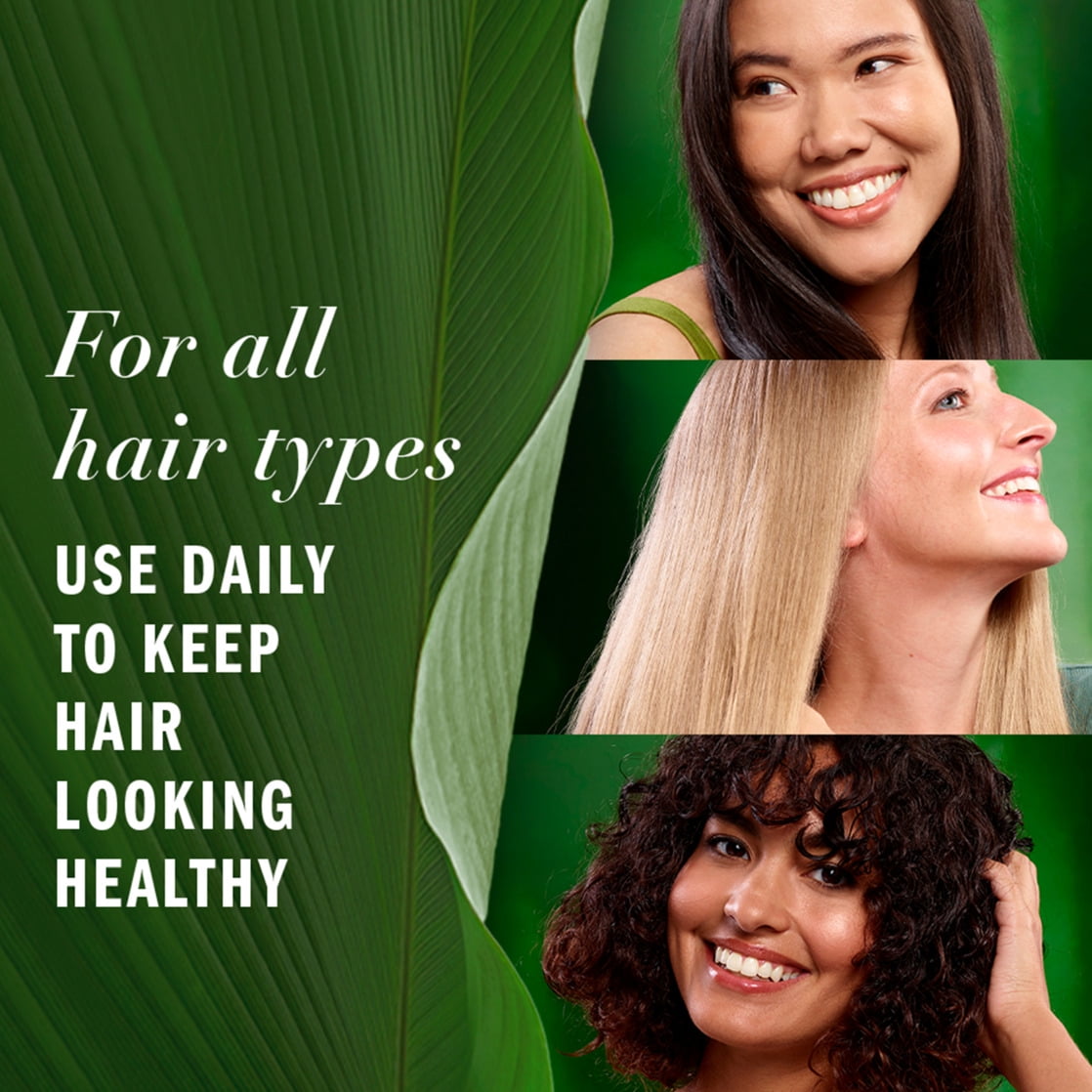 Lightweight Hair Oil, Certified Pure Plants, with Aloe and Camellia Flower Oil, 3.2 fl oz