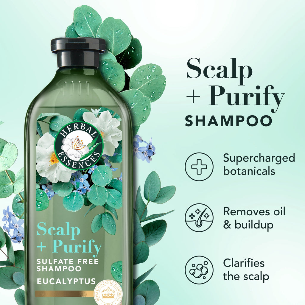 Scalp + Purify Eucalyptus Sulfate-Free Shampoo, 13.5 fl oz