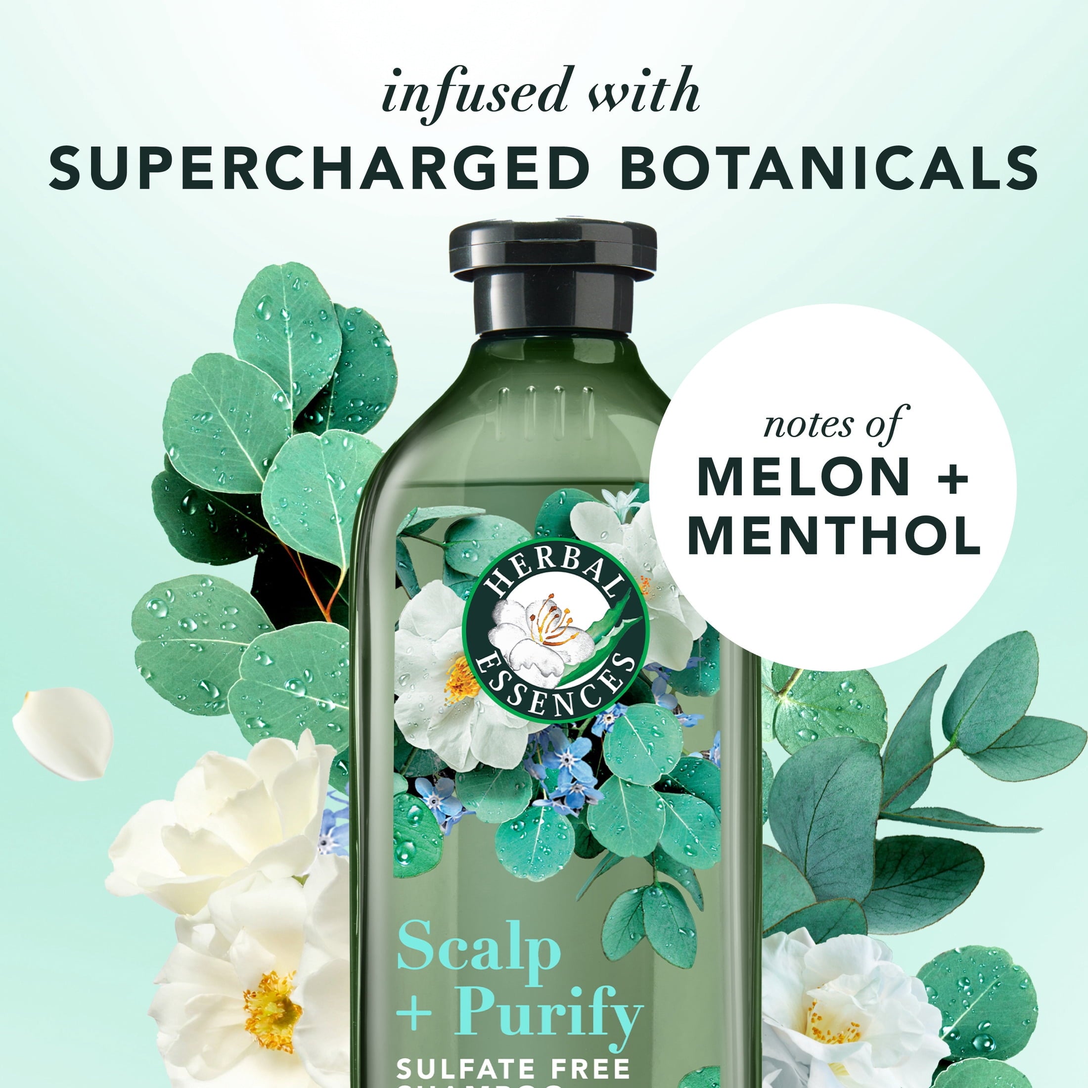 Scalp + Purify Eucalyptus Sulfate-Free Shampoo, 13.5 fl oz
