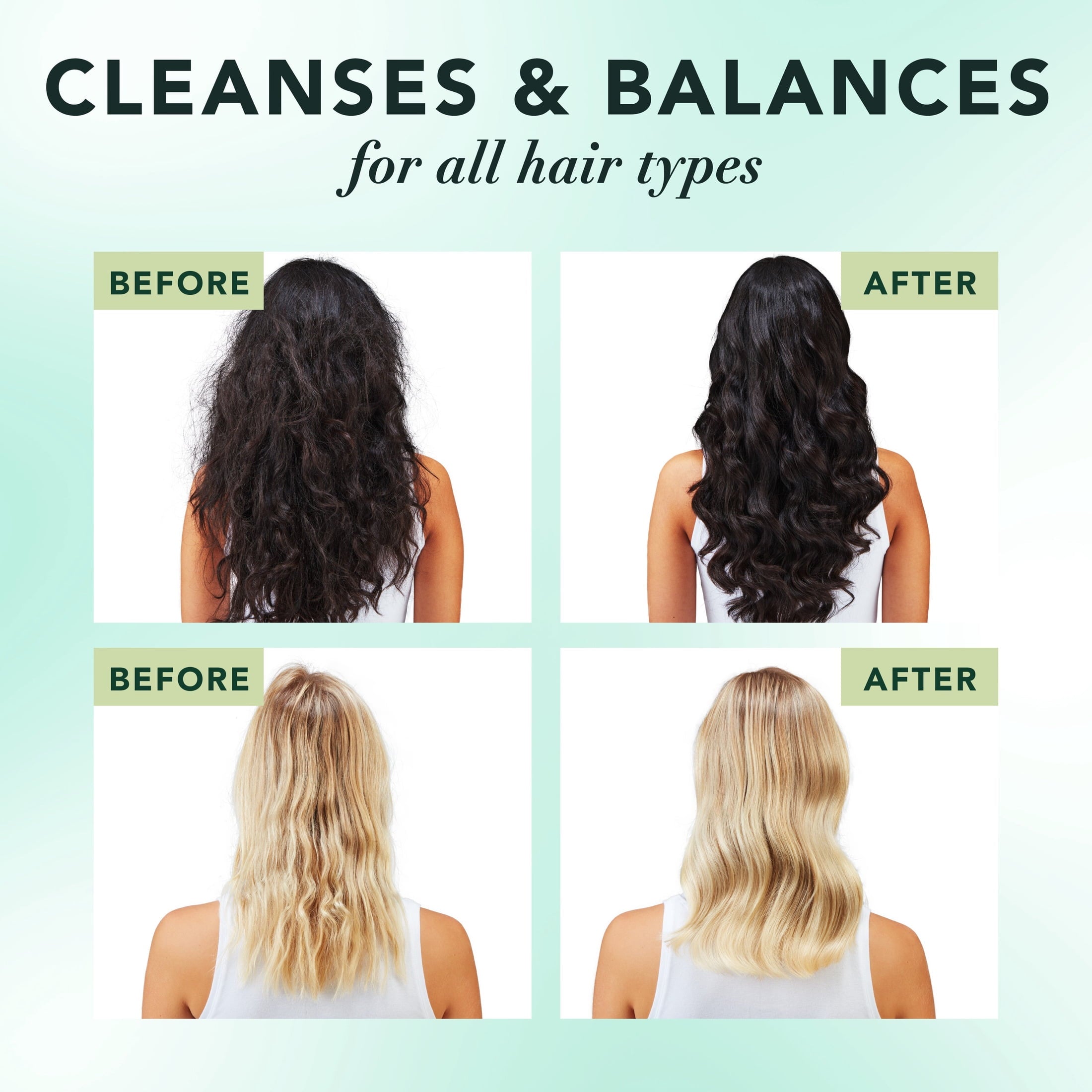 Scalp + Purify Eucalyptus Sulfate-Free Shampoo, 13.5 fl oz
