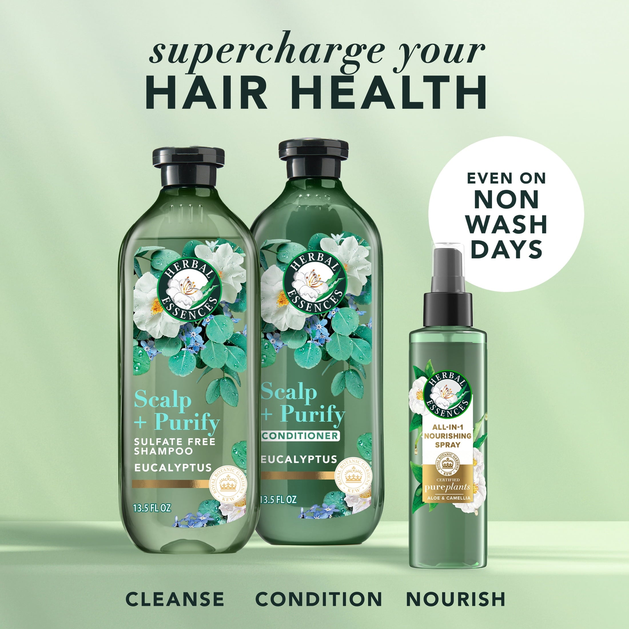 Scalp + Purify Eucalyptus Sulfate-Free Shampoo, 13.5 fl oz