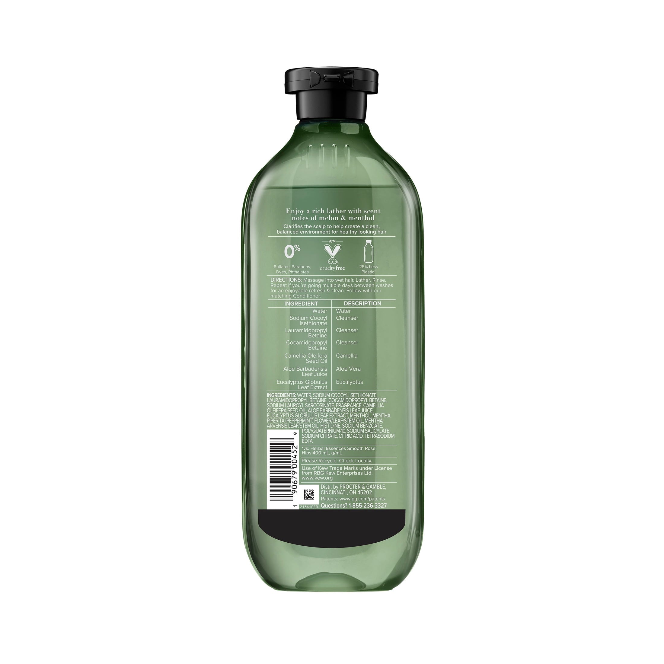 Scalp + Purify Eucalyptus Sulfate-Free Shampoo, 13.5 fl oz