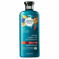 Bio:Renew Shampoo, Argan Oil Of Morocco, 13.5 oz, 3 Pack