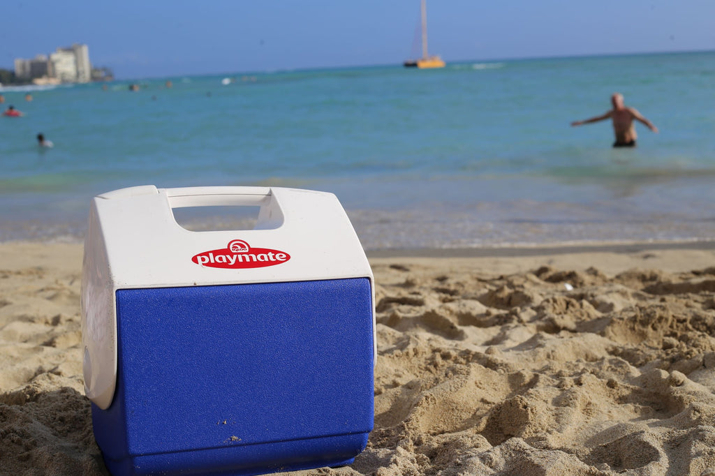 7 qt. Playmate Pal Cooler Ice Chest, Blue