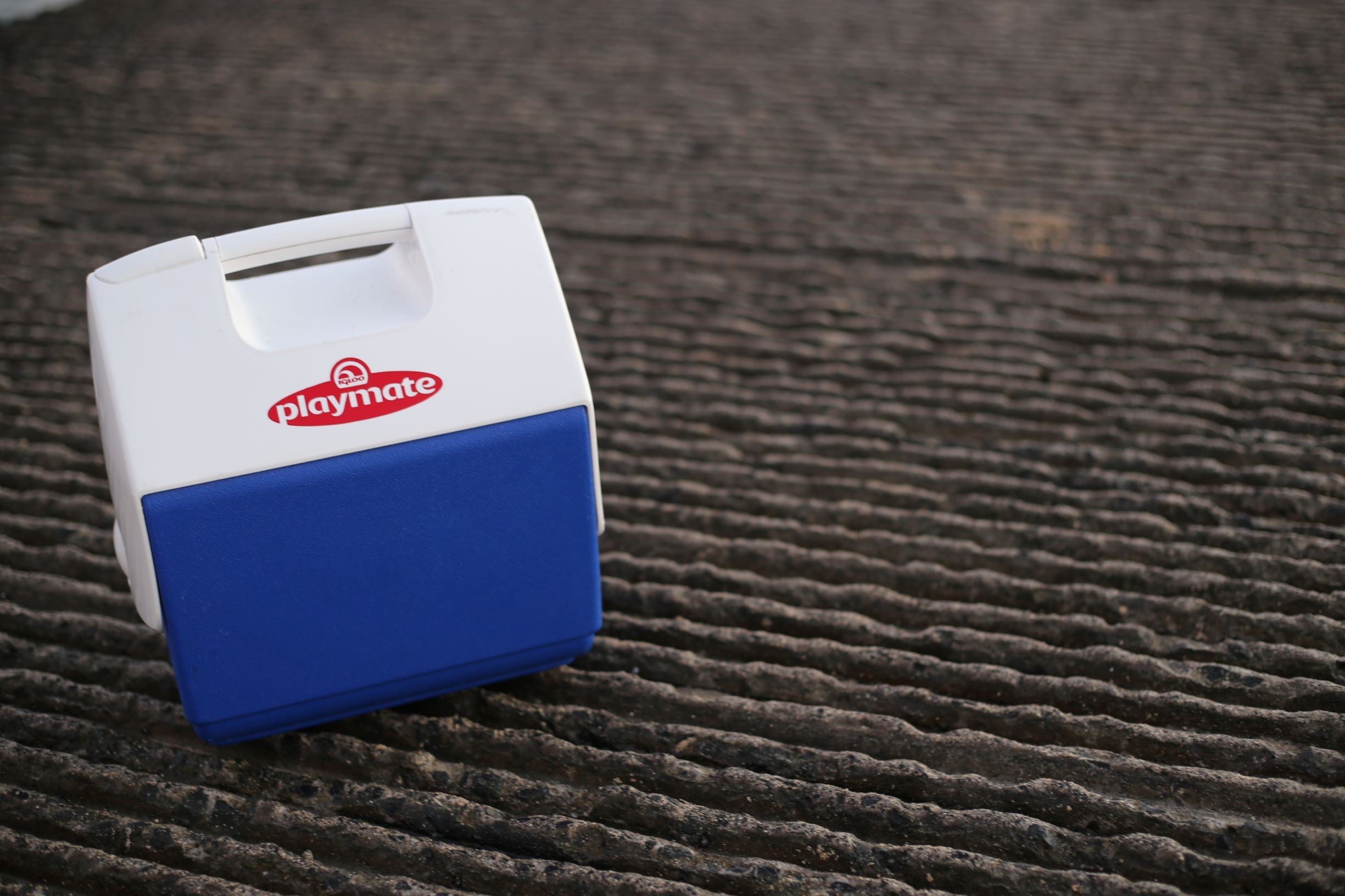 7 qt. Playmate Pal Cooler Ice Chest, Blue