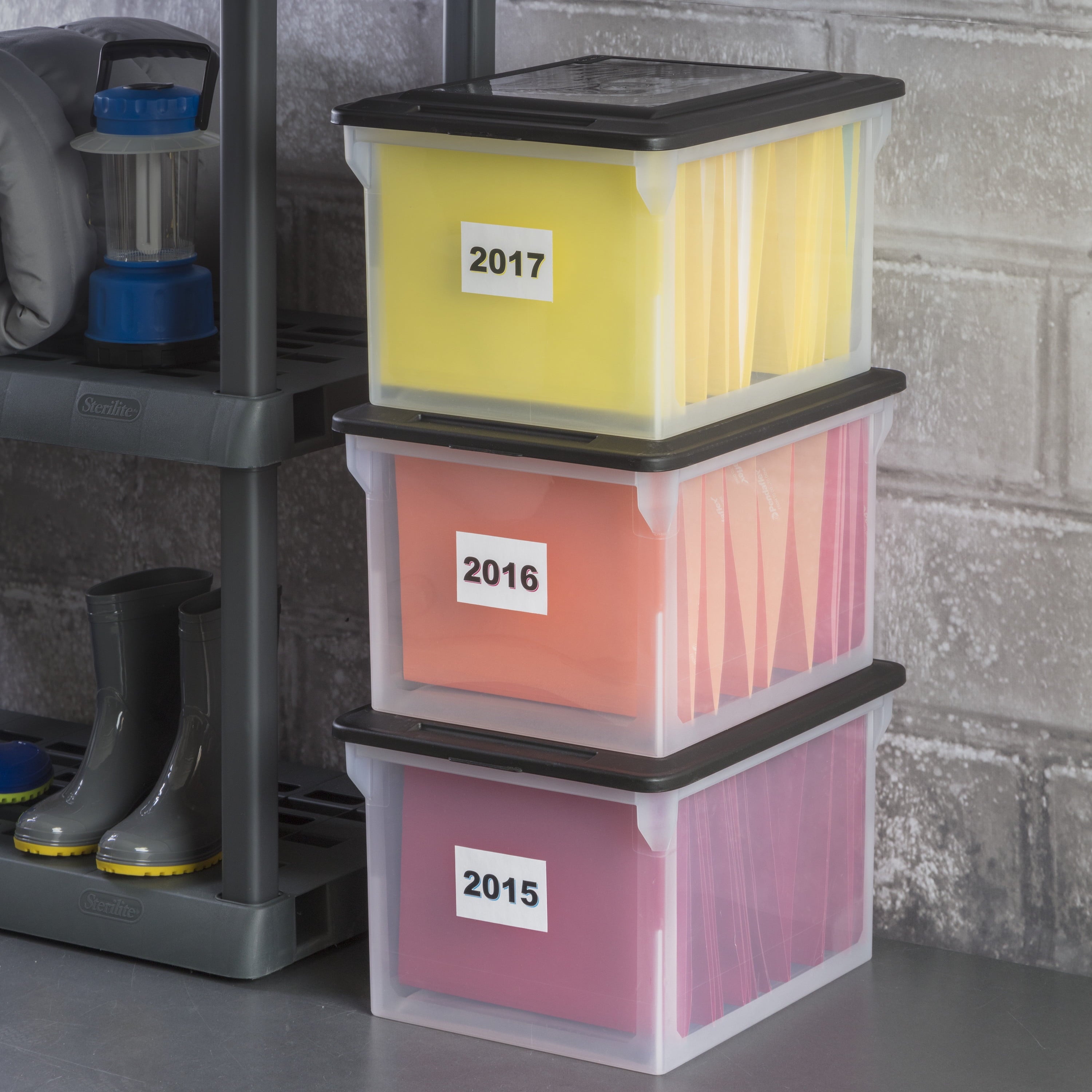 File Box, Clear Plastic Bin with Black Lid, Letter or Legal-Sized File Storage