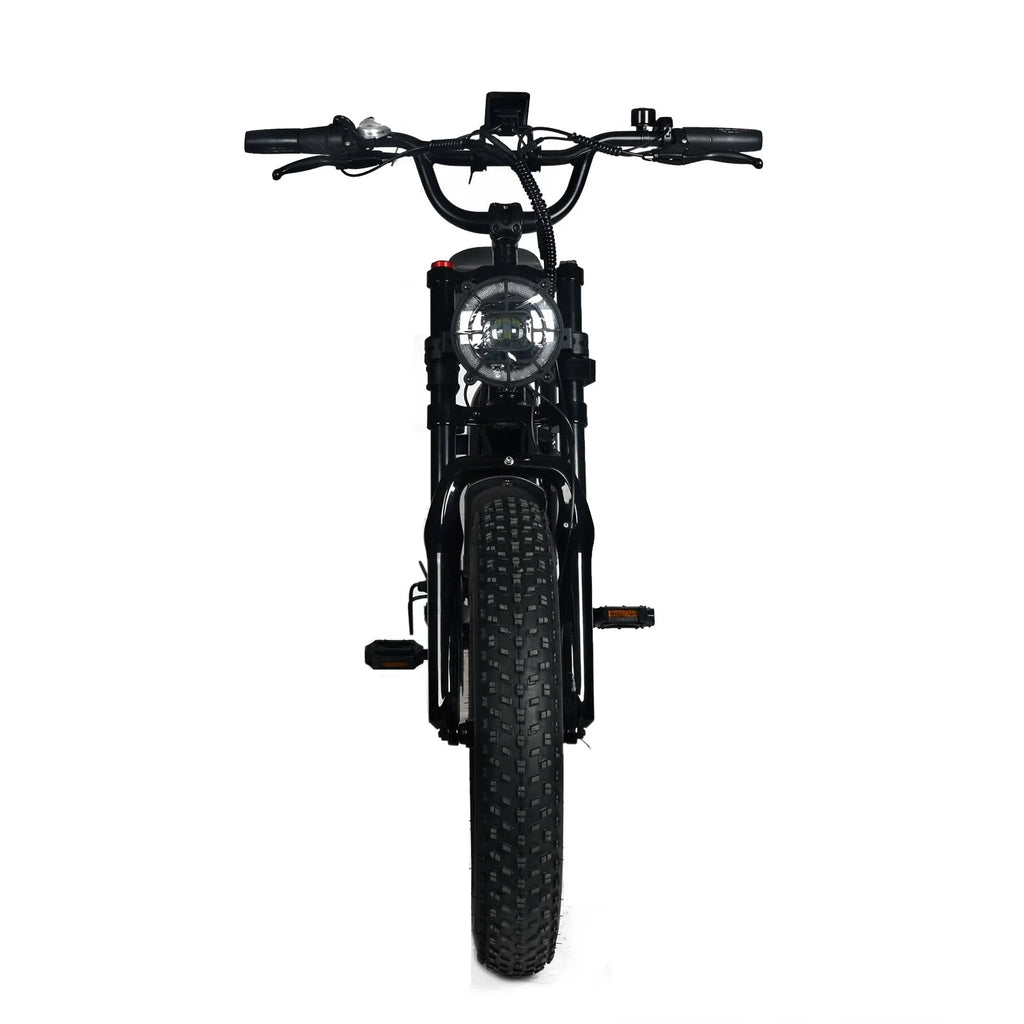 Electric Mountain Bike for Adults | 20 x 4.0 Fat Tires, 1000W Motor, 48V 20Ah Removable Battery, Max Speed 45MPH, Shi Mano 7-Speed for Off-Road Adventures