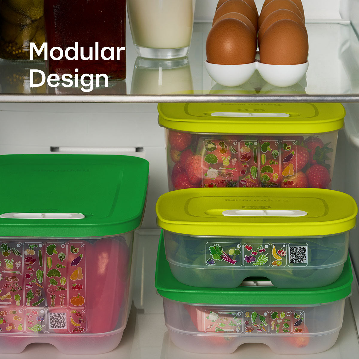 FridgeSmart? | 4-piece Starter Set