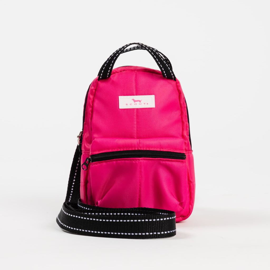 Globetrotter Backpack