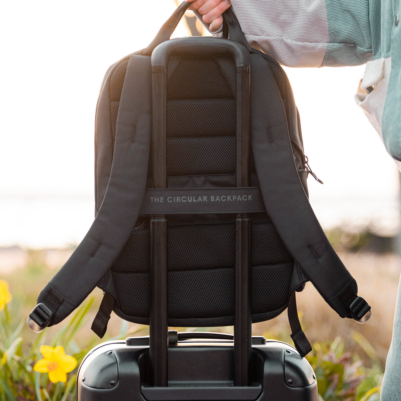 Solgaard Compass Backpack