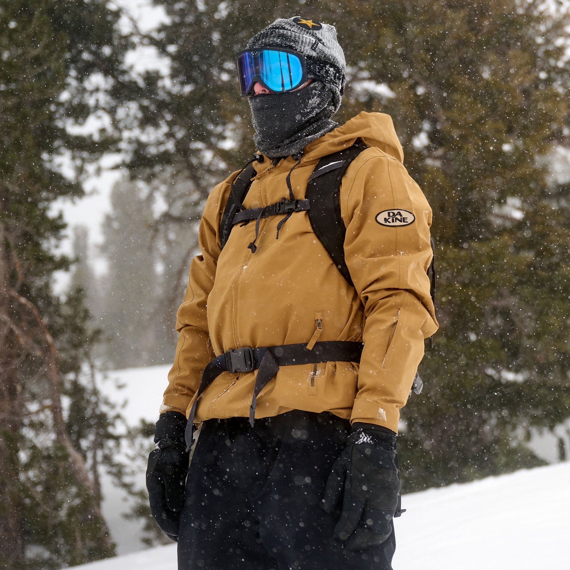Dakine Heli Pro Backpack 20L - Mulled Basil