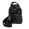 Globetrotter Backpack