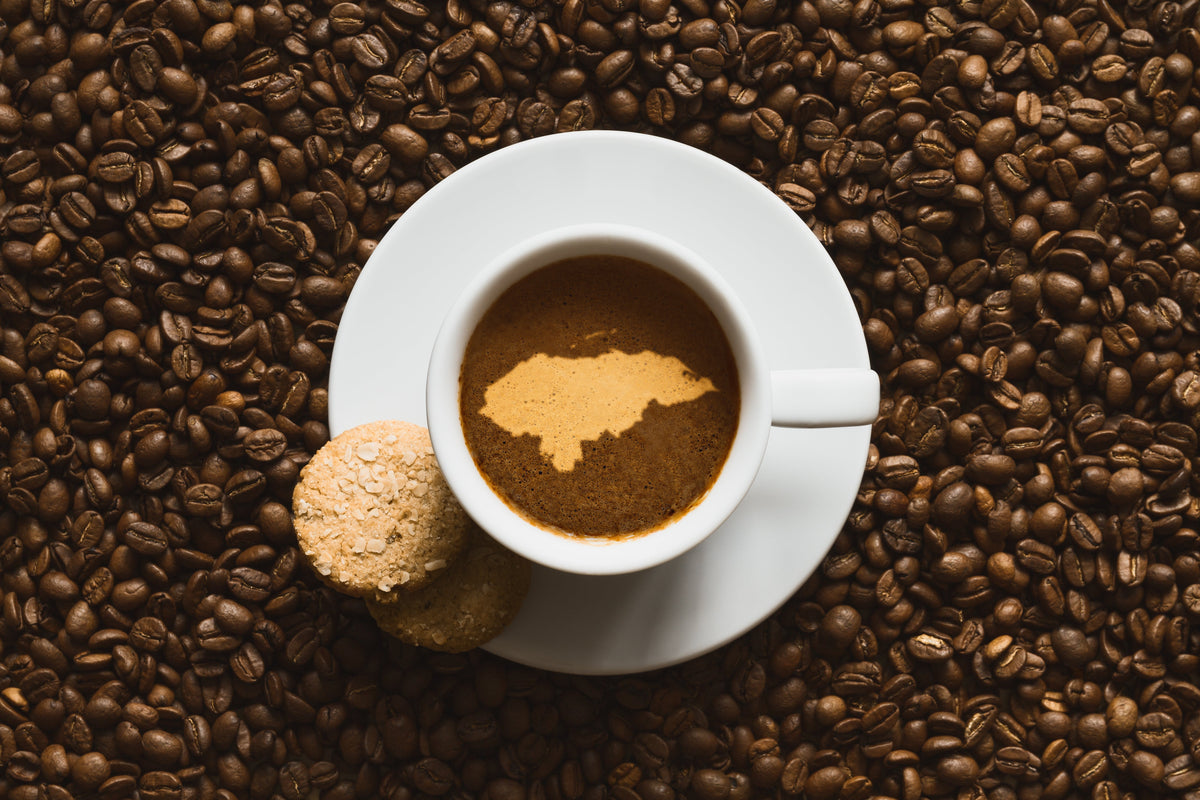 Ember Twenty-Fourth Ave - Espresso Blend
