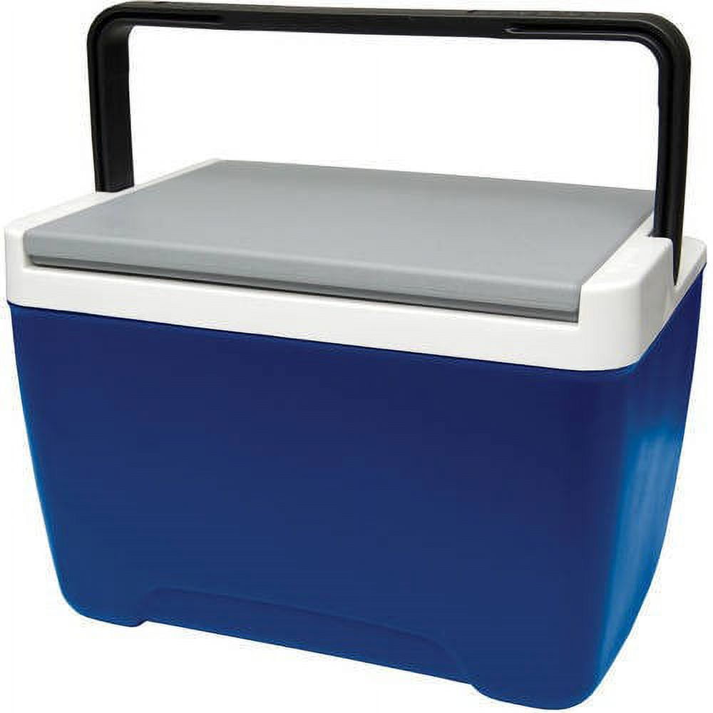 9-Quart Cooler