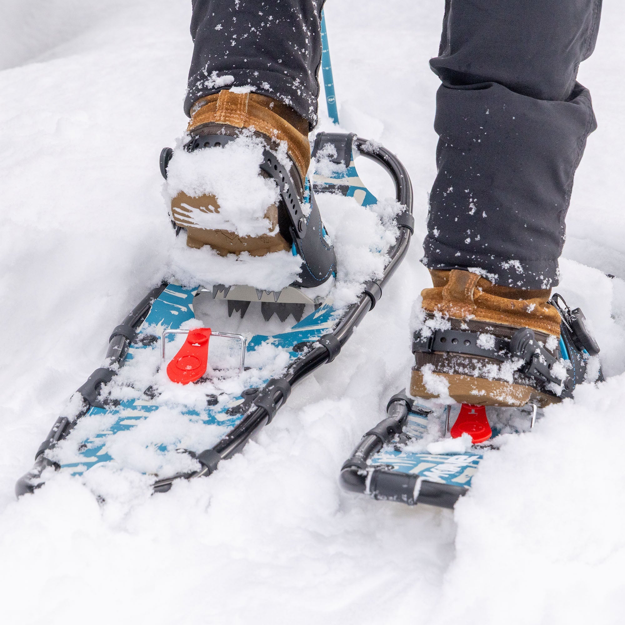 Dakine Lolo Pass Series Snowshoe Kit - 930 - Biscay Bay