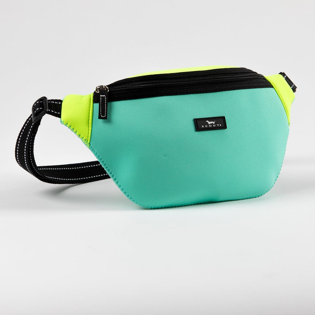 Sun Belt Bag