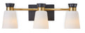 Canvas Springwater 3-Light Vanity with Opal Glass, Black