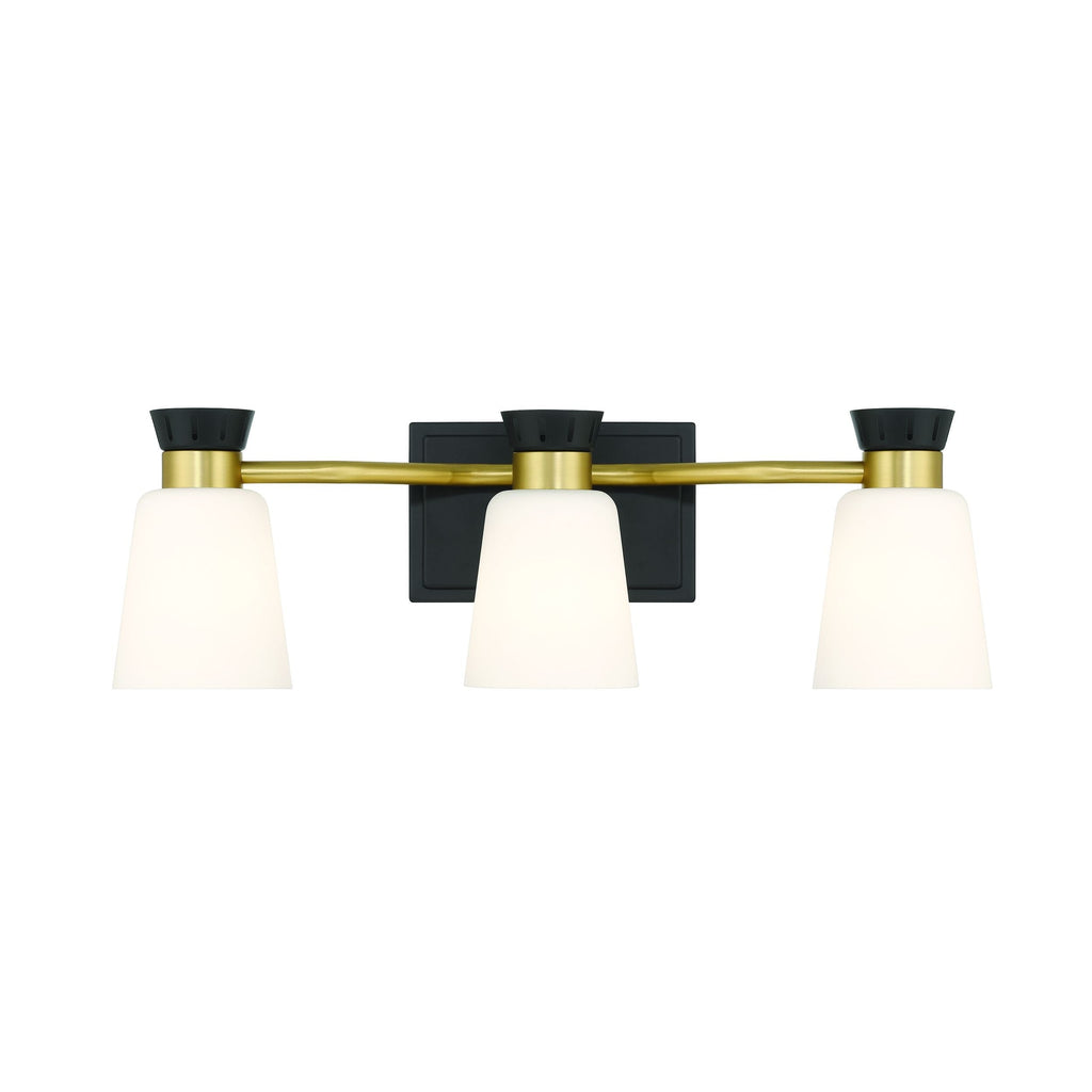 Canvas Springwater 3-Light Vanity with Opal Glass, Black
