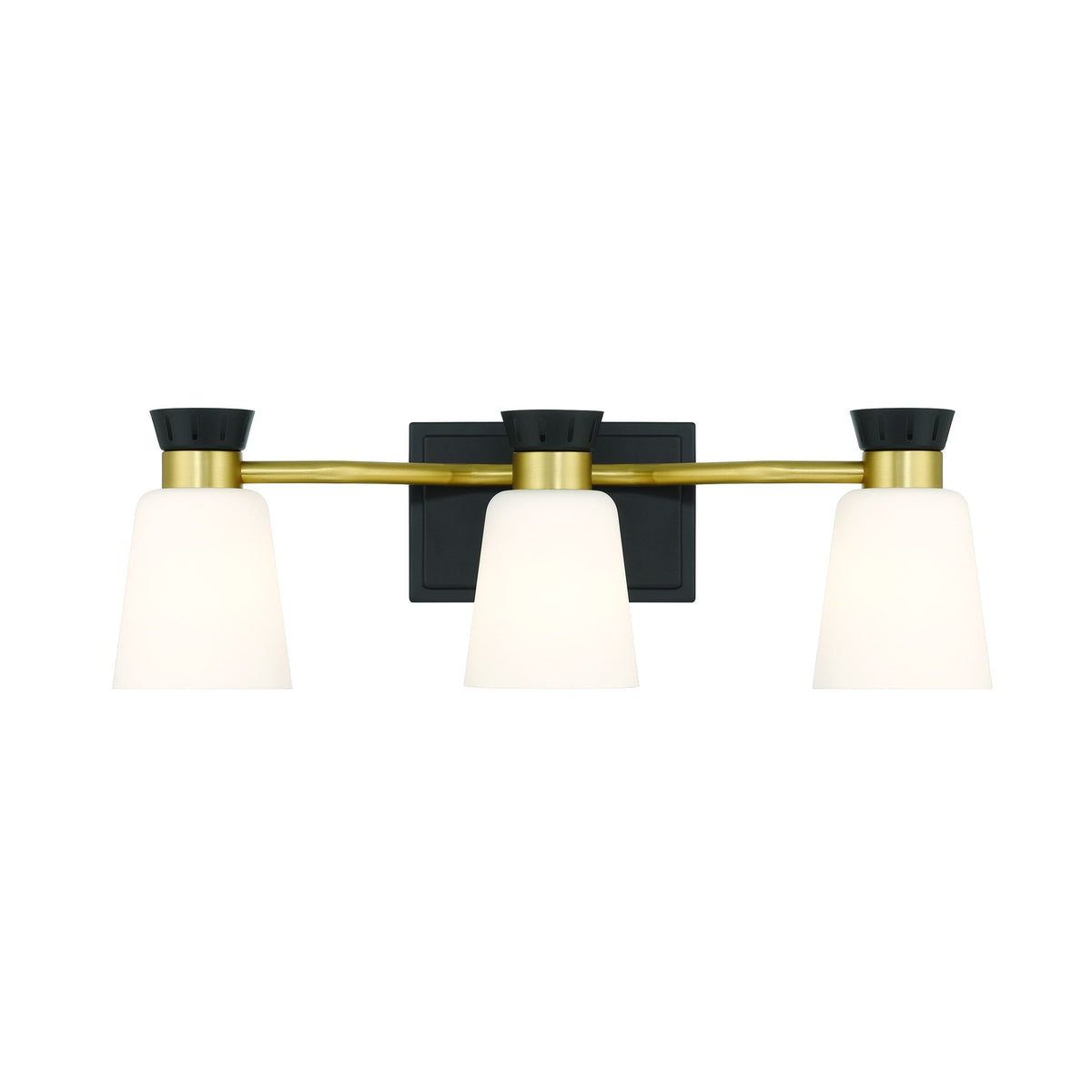 Canvas Springwater 3-Light Vanity with Opal Glass, Black