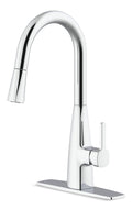 Danze Danillo 1-Handle 8-in Centerset Pull Down Kitchen Faucet, Assorted Finishes
