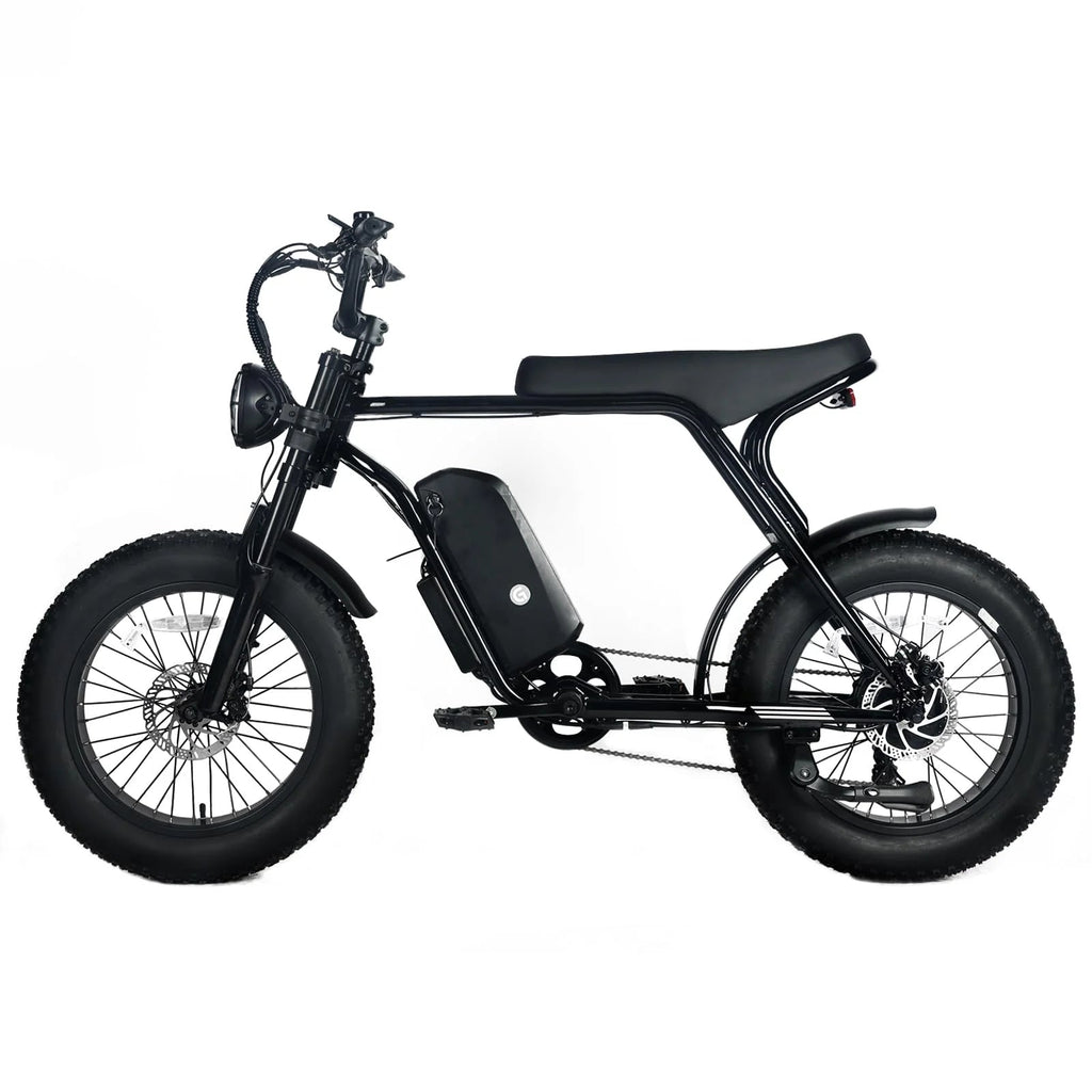Electric Mountain Bike for Adults | 20 x 4.0 Fat Tires, 1000W Motor, 48V 20Ah Removable Battery, Max Speed 45MPH, Shi Mano 7-Speed for Off-Road Adventures