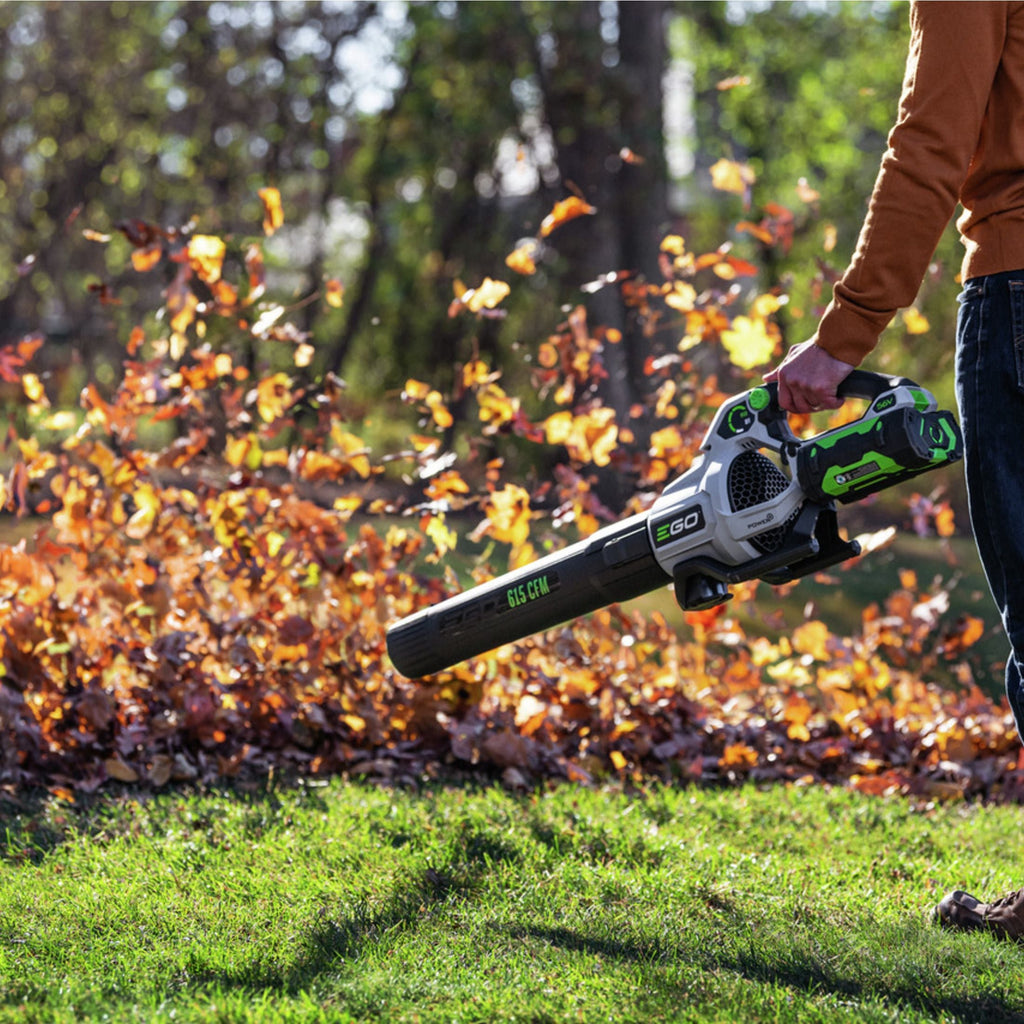 EGO POWER+ 56V Brushless Cordless 615 CFM Leaf Blower, Includes (1) 2.5Ah Battery and (1) 210W Standard Charger, LB6151