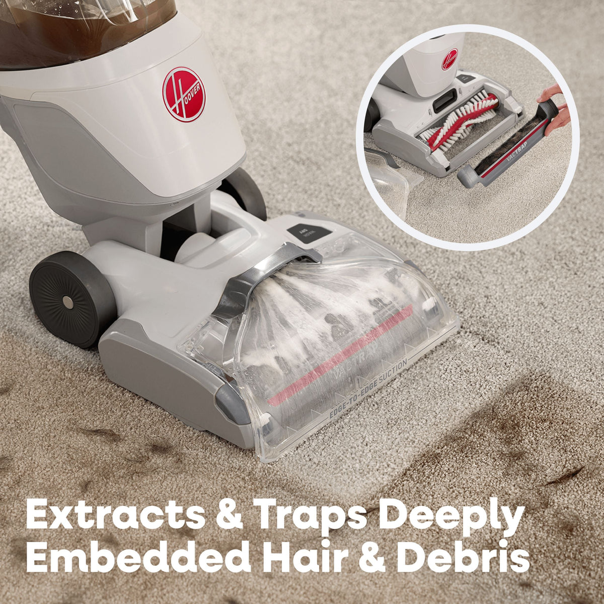 Hoover AllOut Plus Carpet Cleaner with StainShot Technology, Debris Catch, Edge to Edge Cleaning & Faster Drying