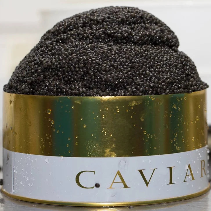 Quintessence Oscietra Sturgeon Caviar