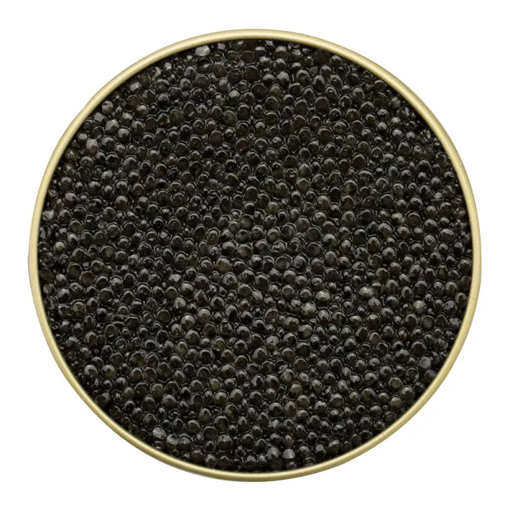 Quintessence Oscietra Sturgeon Caviar